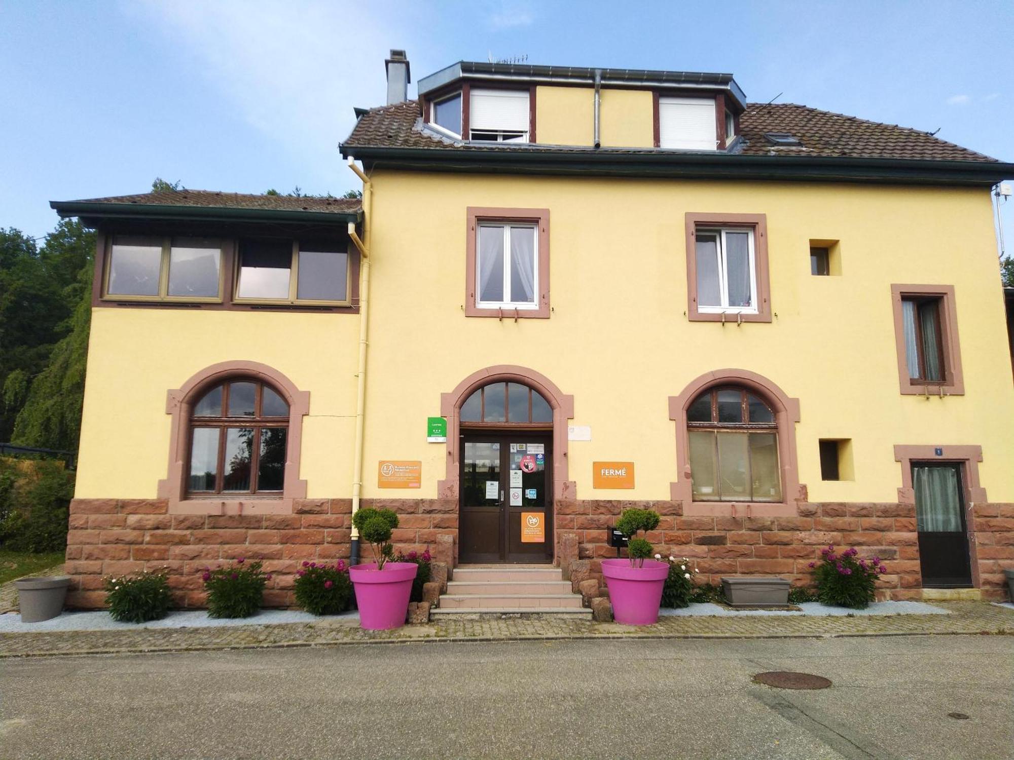 Camping Les Lupins Seppois-le-Bas Esterno foto
